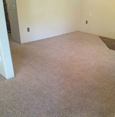 The same living room carpet clean and stain-free after a deep clean